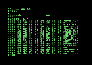 The byg shell c64 hex dump